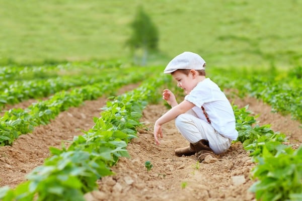 Youth in Agriculture