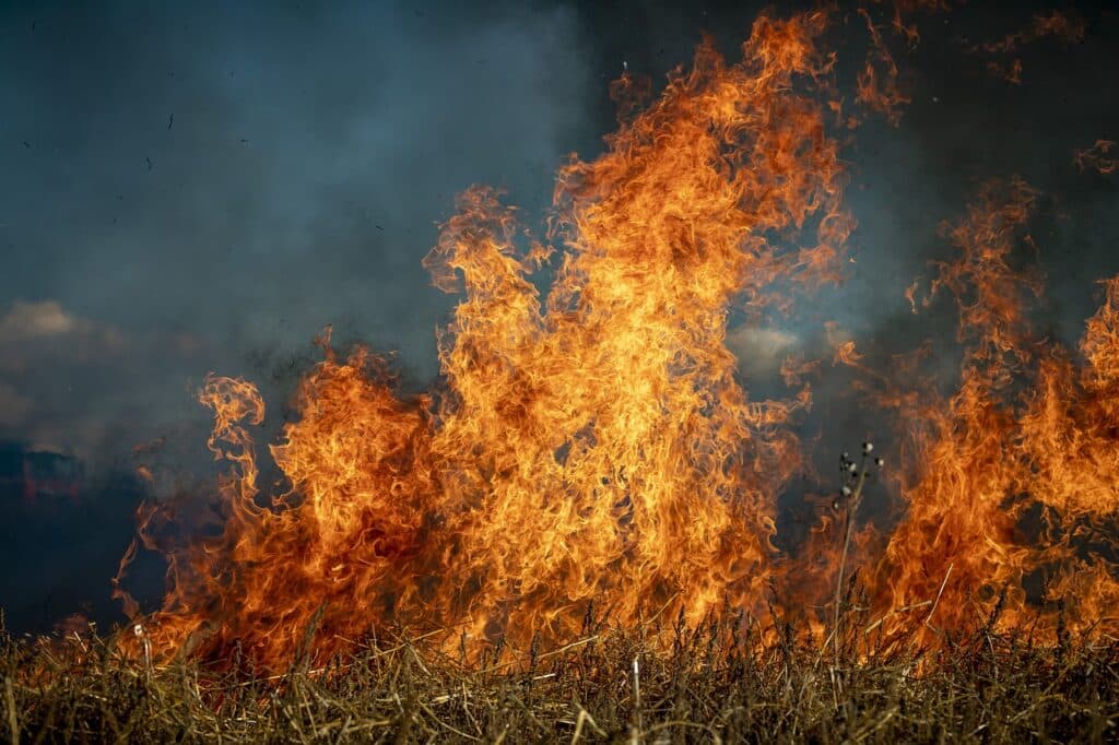 Flames erupting from yellow grass with smoke- filled background