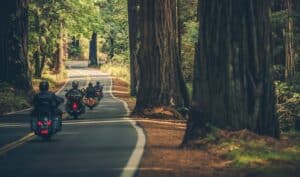 Group of four motorcyclists on shady two lane road along Redwood Highway in Northern California