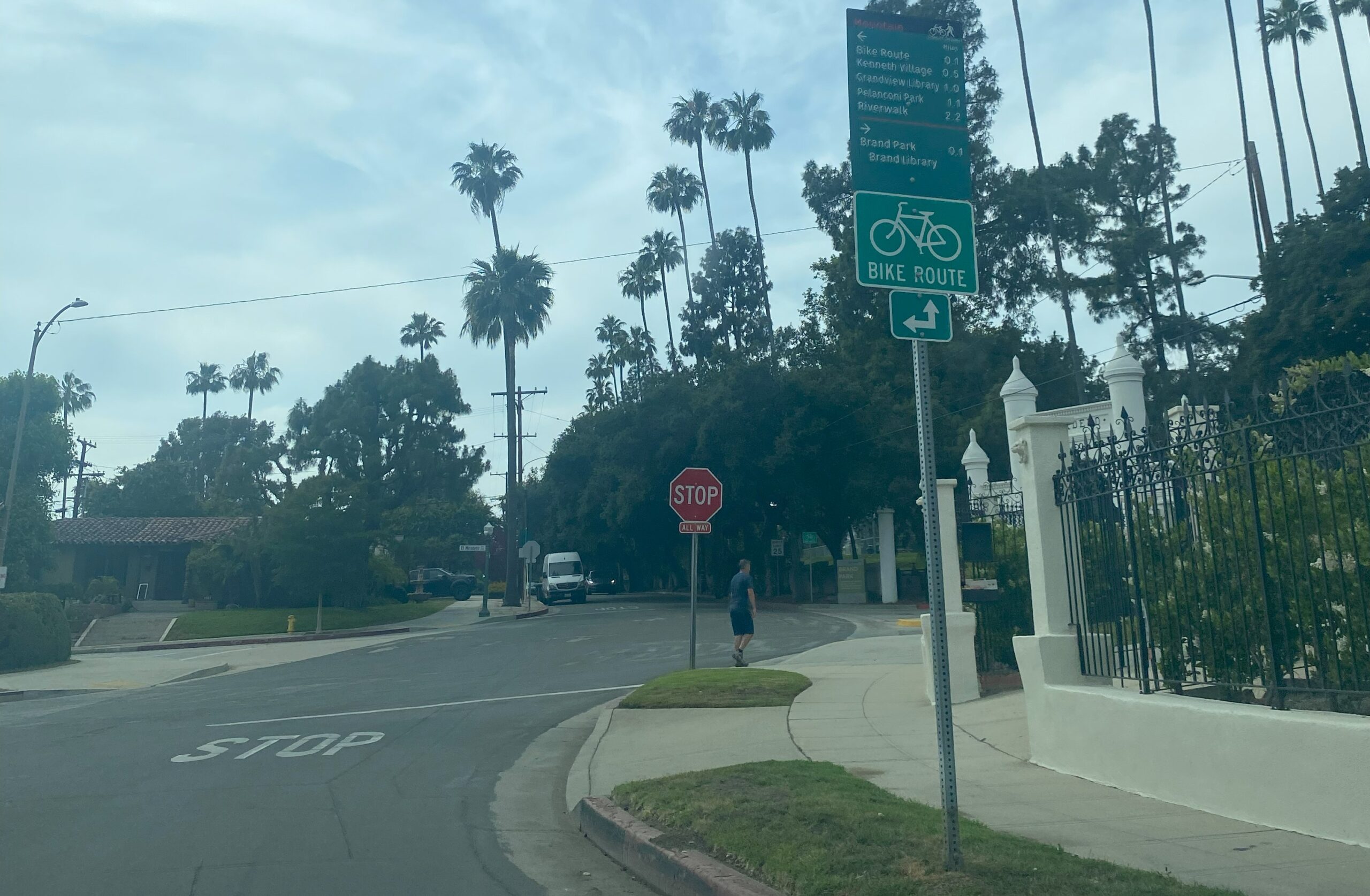 A stop sign along a Glendale CA street. Bike route sign in foreground. Palm trees overhead.