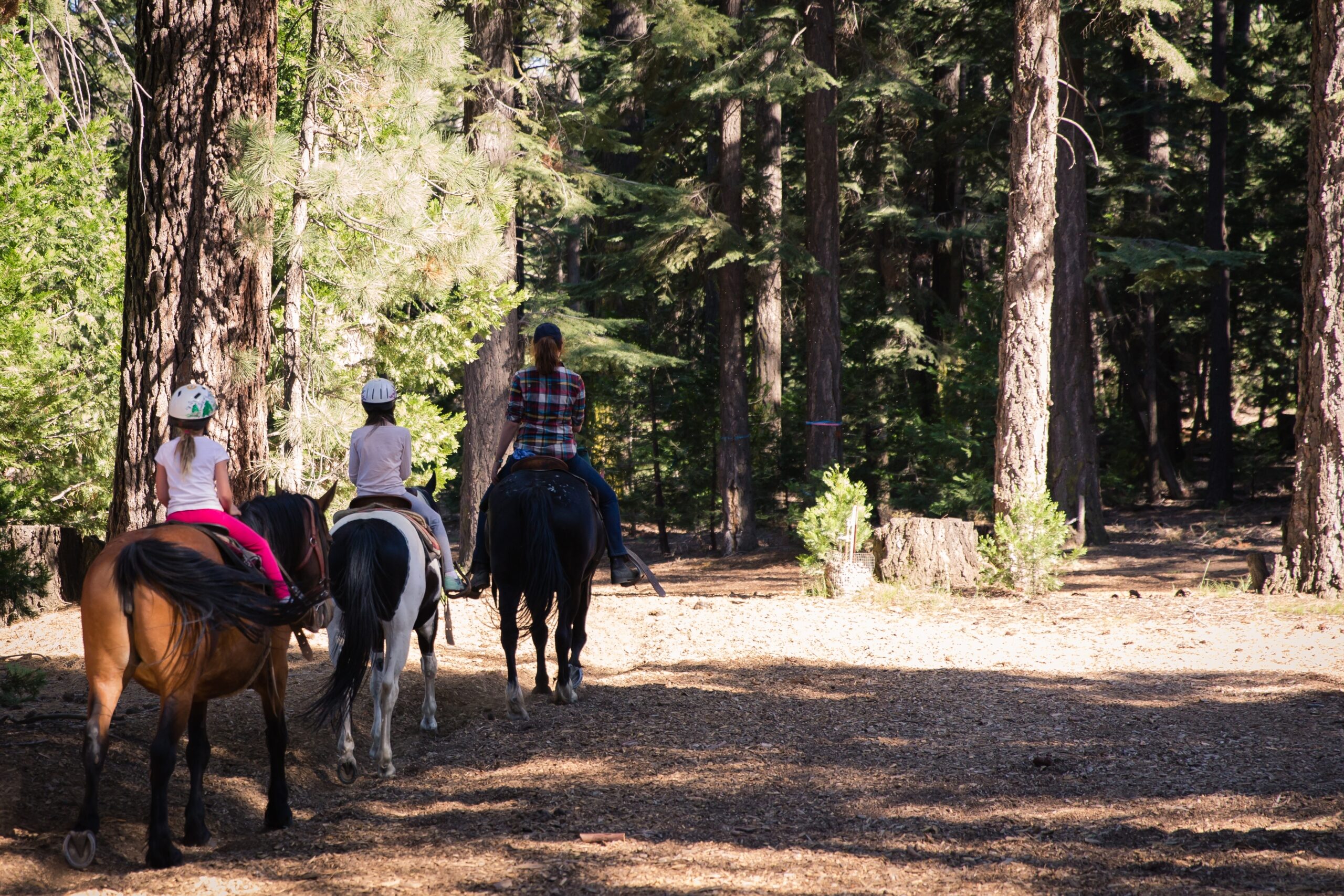 Adult woman and two girls on horses riding in a California forest.