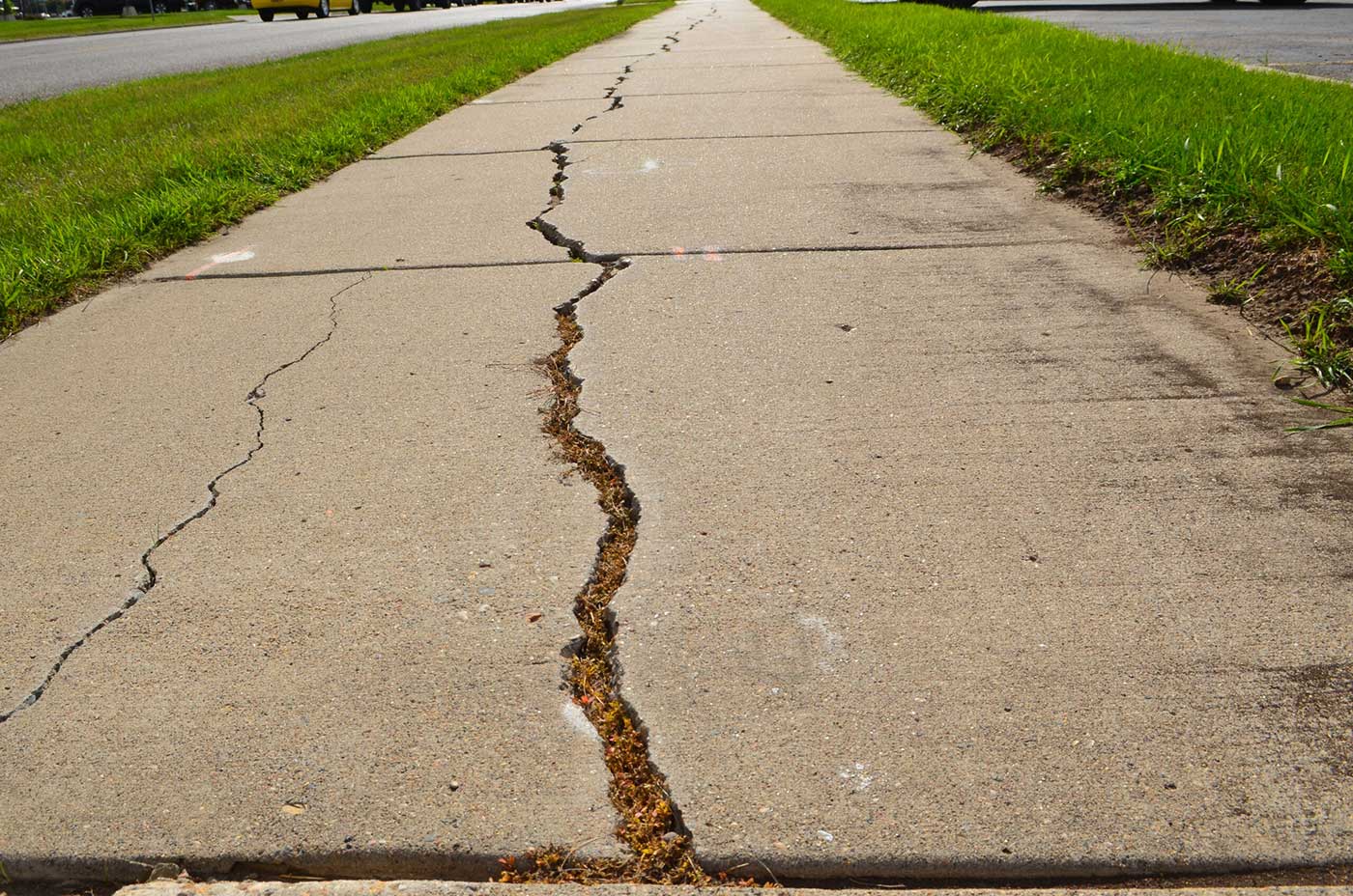 A crack down the middle of a sidewalk extending many feet. Grass on both sides of sidewalk.
